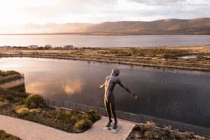 Benguela Cove Lagoon Wine Estate - Hermanus