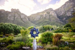 Whirlwind AntonSmit Kirstenbosch (5)